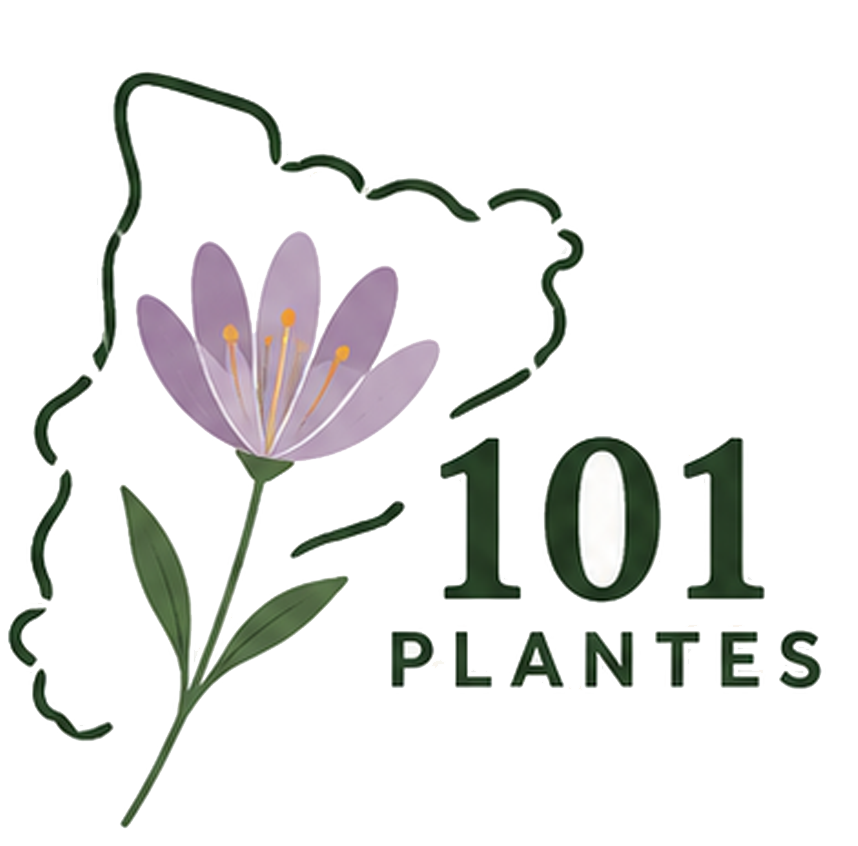 101 Plantes · El Repte Botànic de Catalunya